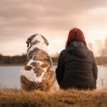 Morte della cagnolina per responsabilità del veterinario: va risarcito anche il danno non patrimoniale